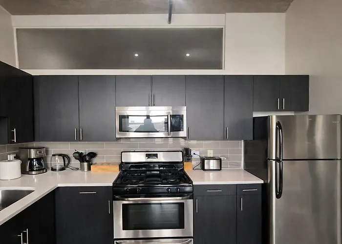 Spacious South Loop 2br Near Mccormick Place, Soldier Field & Downtown Apartment Chicago